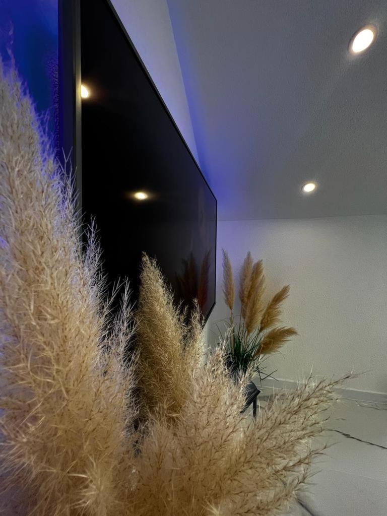 Luxury Apartment Megy Otočac Buitenkant foto